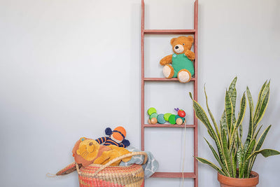 Wooden blanket ladder decorative idea