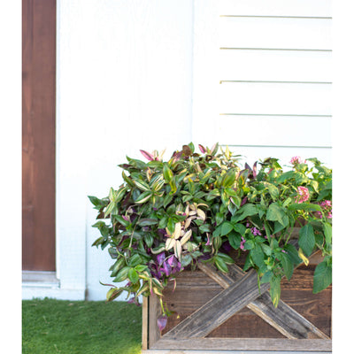 Plant and Tree Box Made of Real Wood | Farmhouse Plant and Tree Box