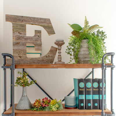 Distressed Barn Wood Letter | Alphabet Wall Decor | Wall Letters