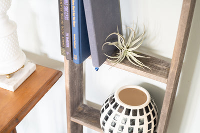 Rustic Farmhouse Bookcase Ladder (Picket)